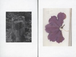 Buch «Sprungschicht», Maximilian Lederer, 2025 