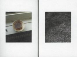 Buch «Sprungschicht», Maximilian Lederer, 2025 